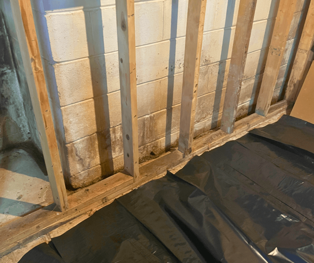Mold Remediation Healthy Spaces Inc. Basement Waterproofing